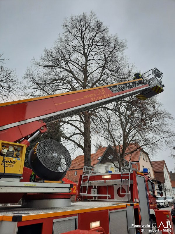 Ast droht, Hildegardstraße