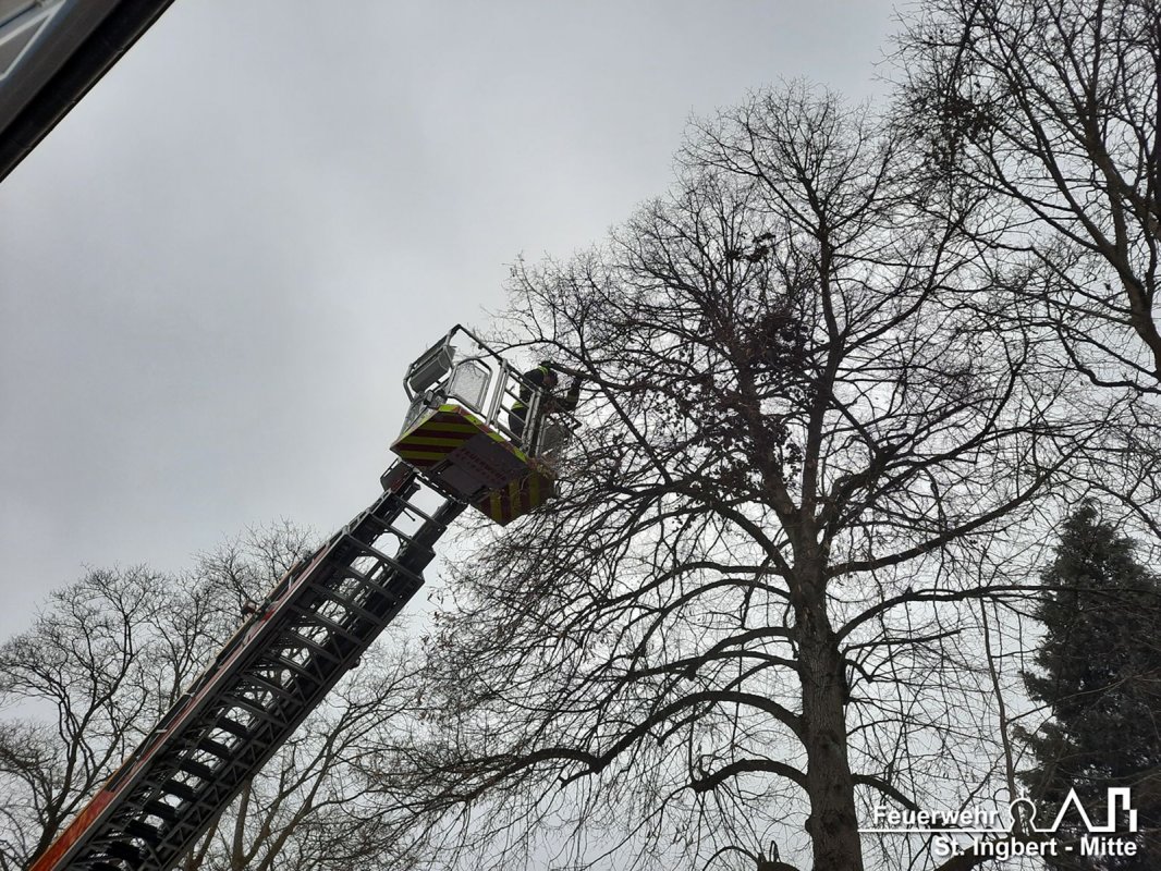 Ast droht, Hildegardstraße